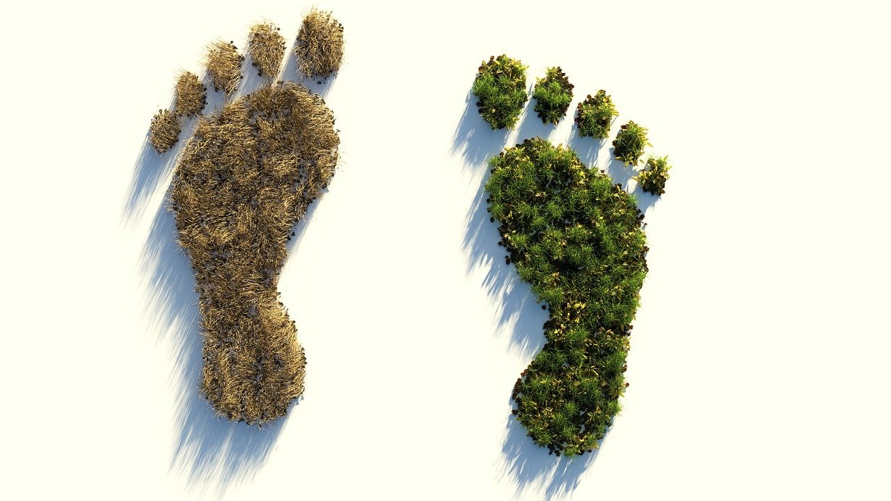ecological footprint, climate protection, environmental destruction